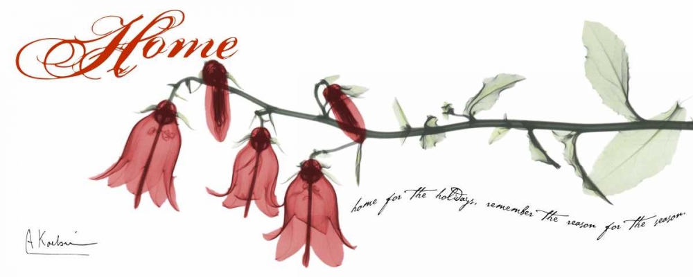 Wall art: Campanula  Home, by Koetsier, Albert