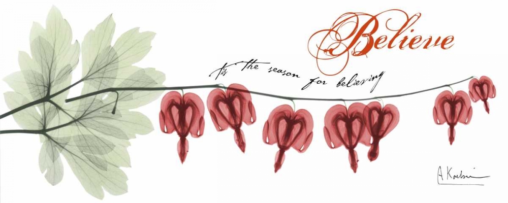 Wall art: Bleeding Heart Believe, by Koetsier, Albert