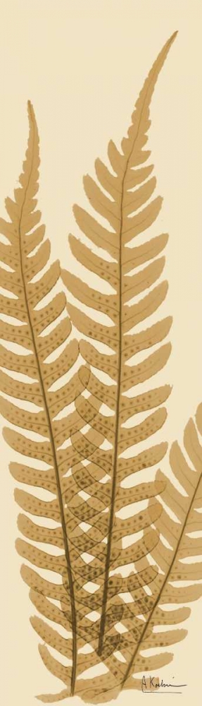 Wall art: Tree Fern Brown on Beige, by Koetsier, Albert