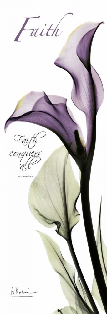 Wall art: Calla Lily in Purple - Faith, by Koetsier, Albert