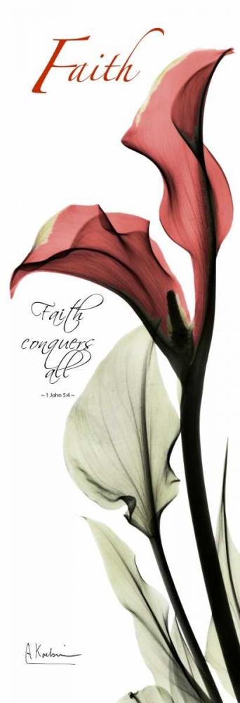 Wall art: Calla Lily in Red - Faith, by Koetsier, Albert