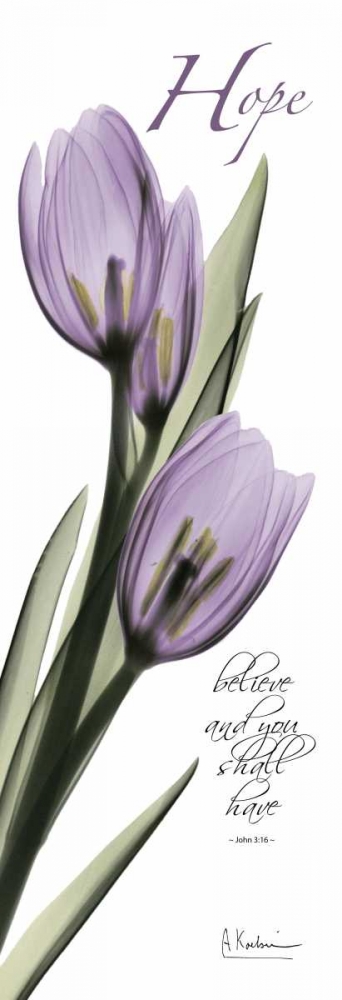Wall art: Tulips in Purple - Hope, by Koetsier, Albert