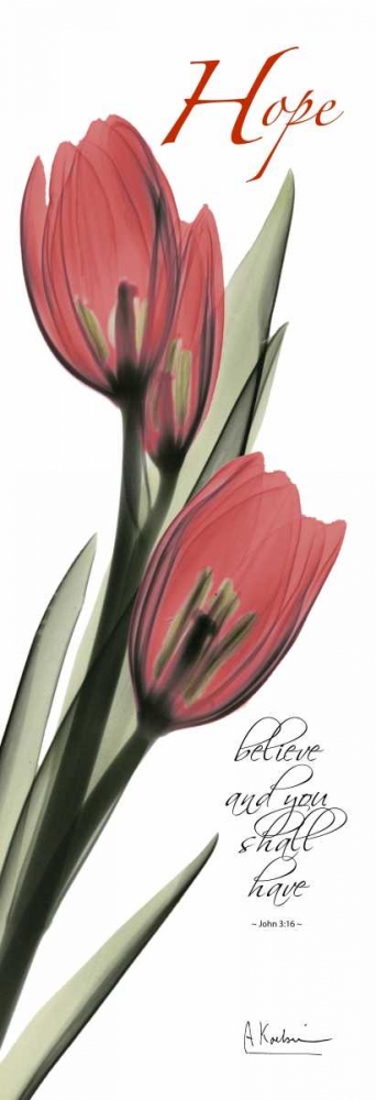 Wall art: Tulips in Red  - Hope, by Koetsier, Albert