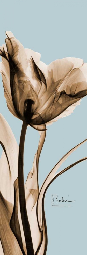Wall art: Tulip Brown on Blue 2, by Koetsier, Albert