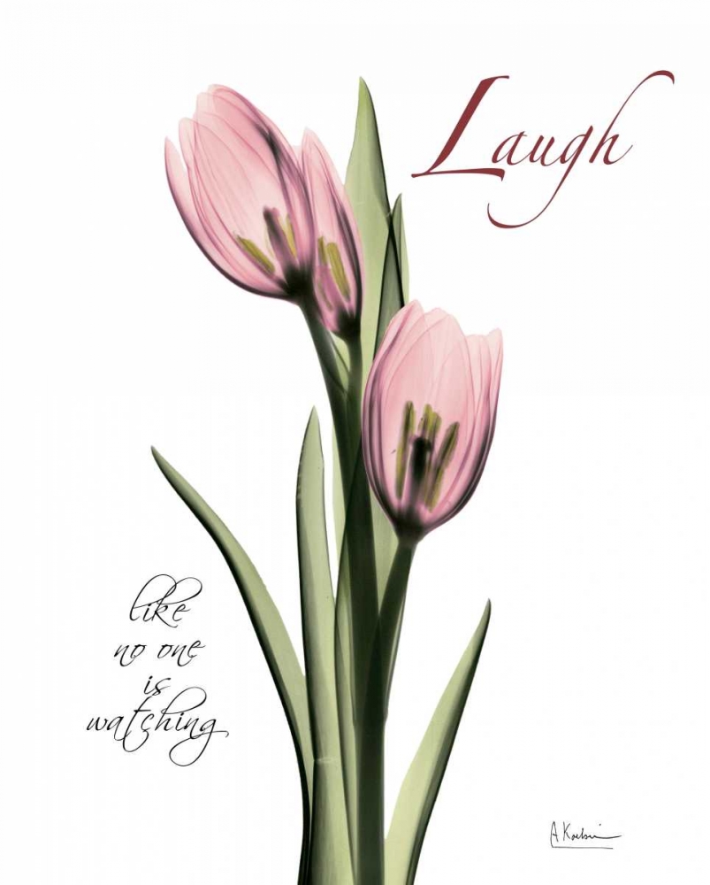 Wall art: Tulip in Pink - Laugh, by Koetsier, Albert