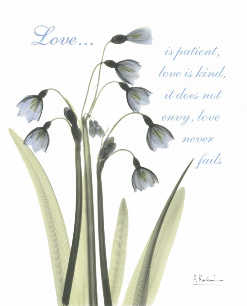 Similar wall art painting: 22256