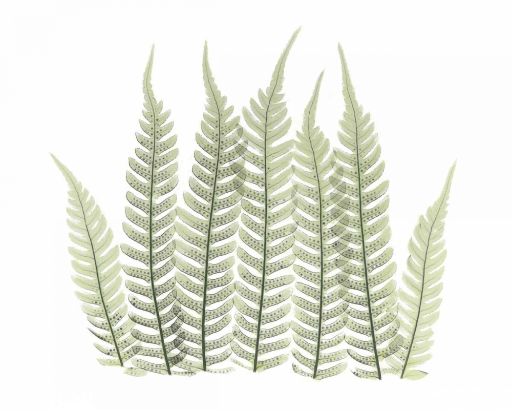 Similar wall art painting: 22284