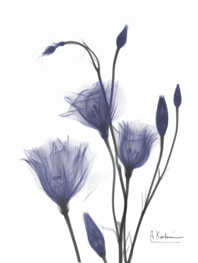 Wall Art Painting id:22290, Name: Gentian in Purple 2, Artist: Koetsier, Albert