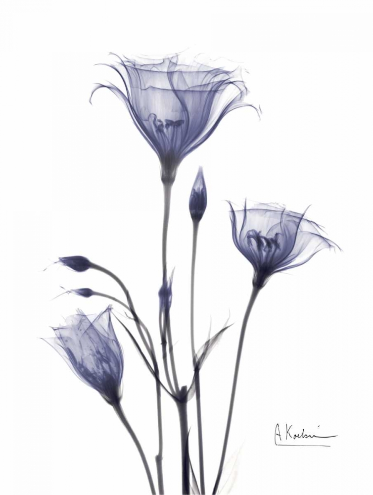 Wall Art Painting id:22289, Name: Gentian in Purple, Artist: Koetsier, Albert