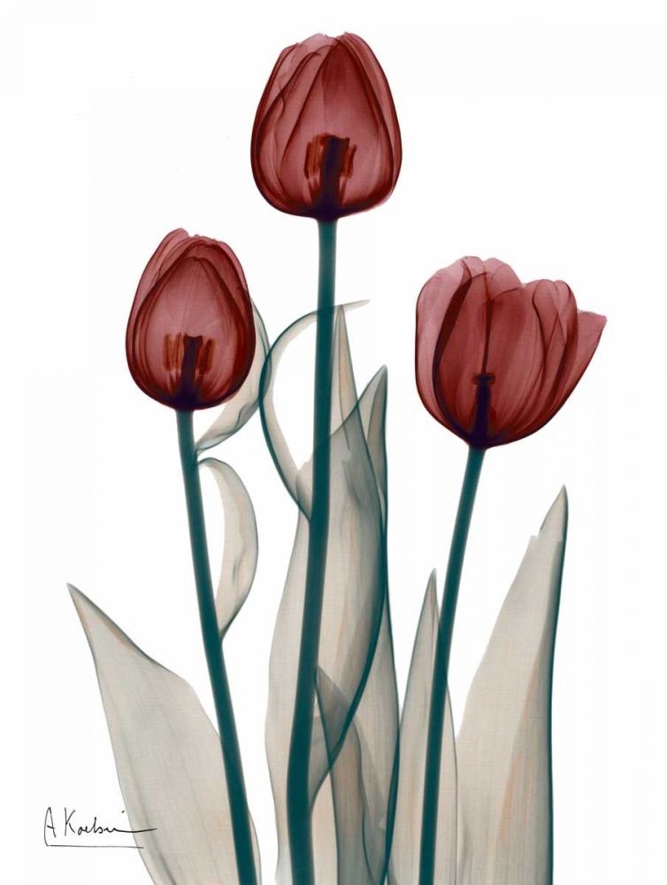 Wall art: Early Tulips in Red, by Koetsier, Albert