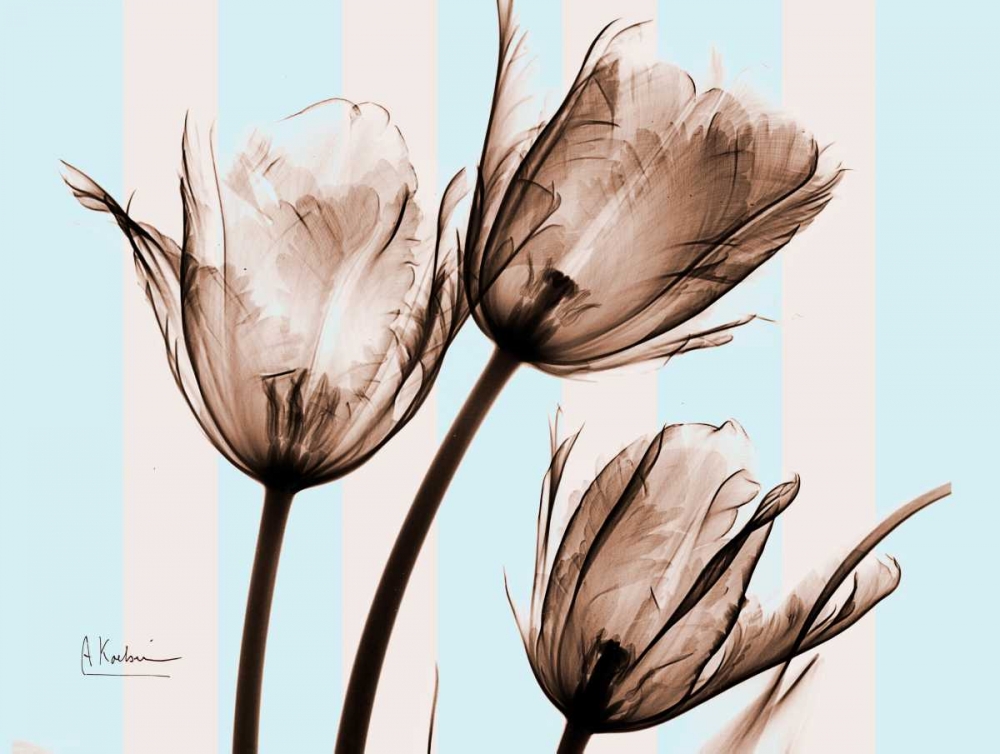 Wall Art Painting id:22329, Name: Tulips Brown on Blue, Artist: Koetsier, Albert