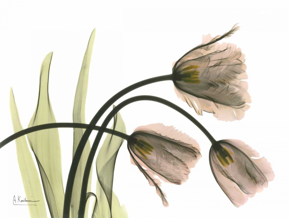 Wall Art Painting id:22360, Name: Tulips in the Wild, Artist: Koetsier, Albert