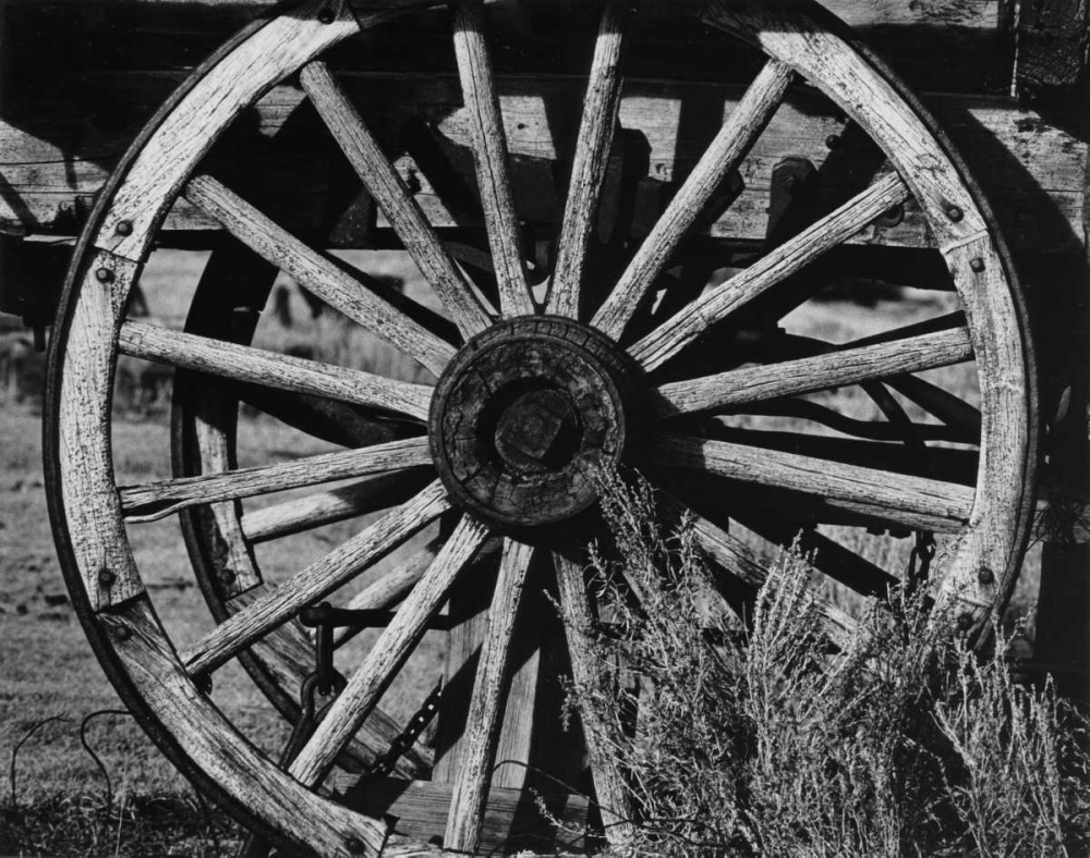 Wall art: Bodi Wheel, by Koetsier, Albert