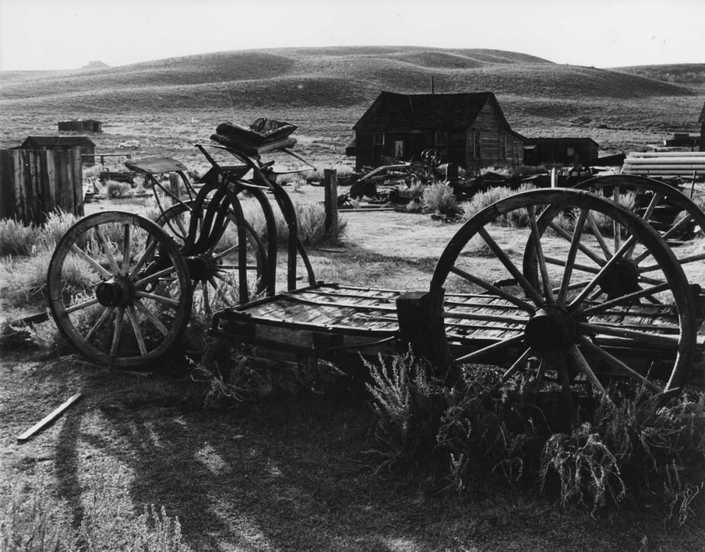 Wall art: Bodi Wagon, by Koetsier, Albert