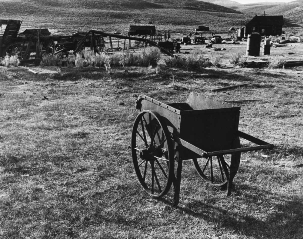 Wall art: Bodi Wheelbarrow 2, by Koetsier, Albert