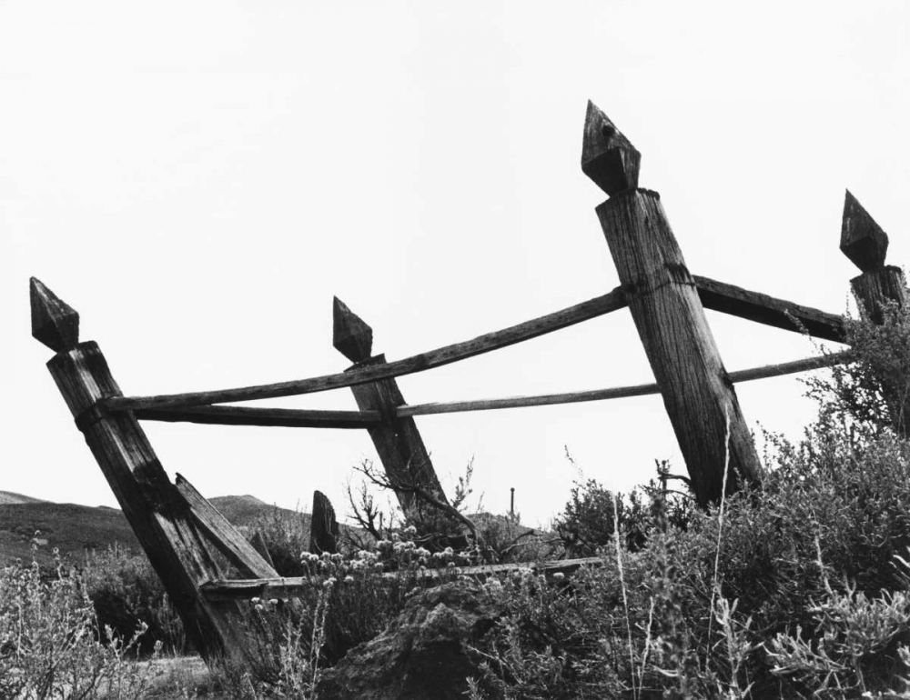 Wall art: The Bodi Fence, by Koetsier, Albert