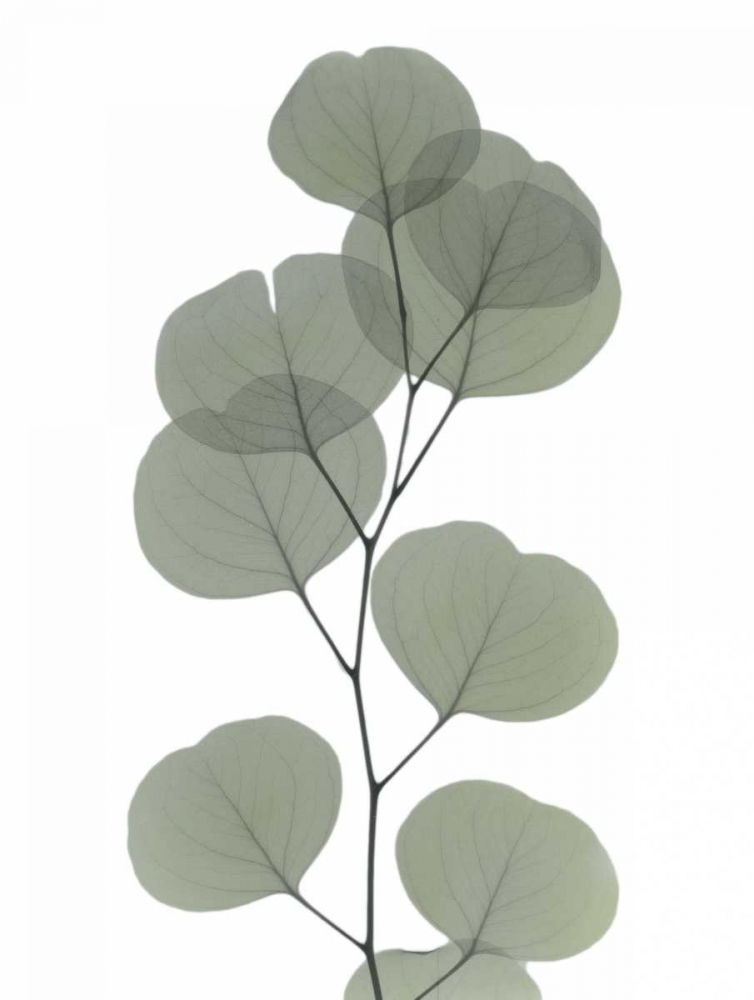 Similar wall art painting: 161241