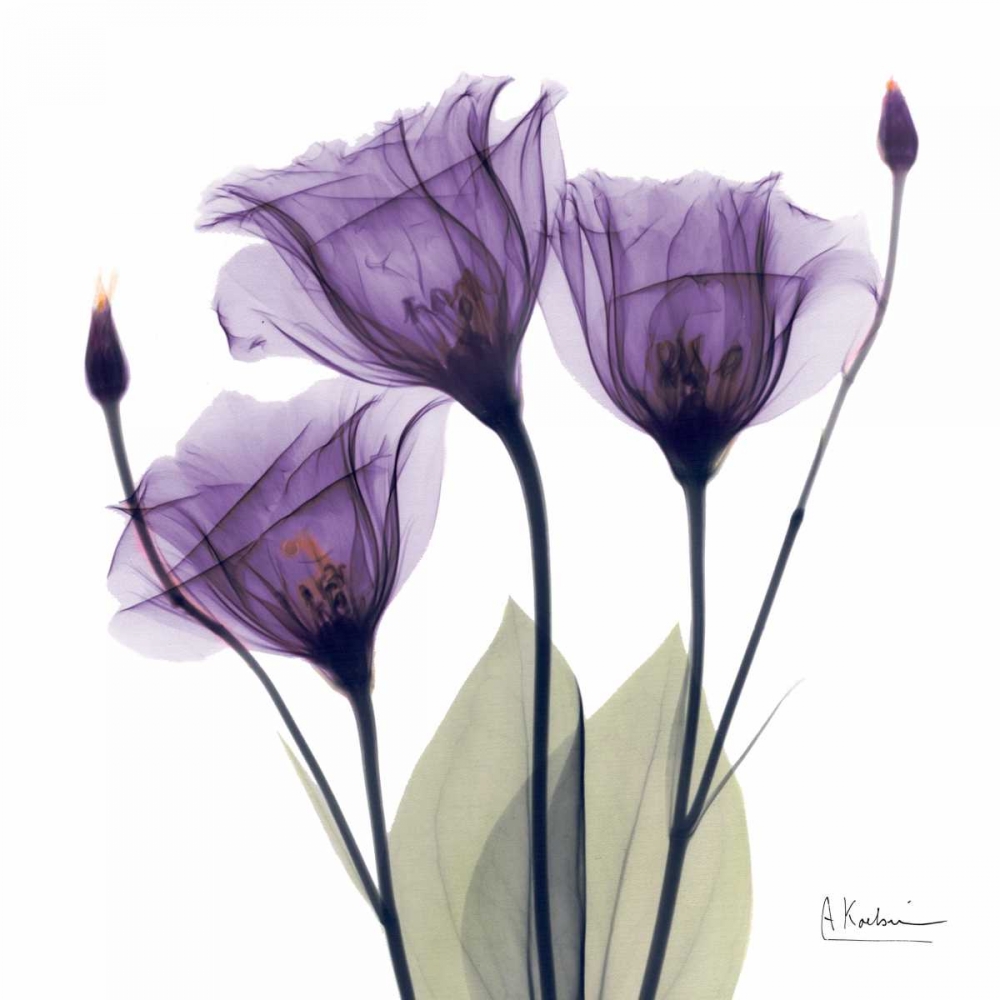 Wall Art Painting id:21710, Name: Gentian Hope, Artist: Koetsier, Albert