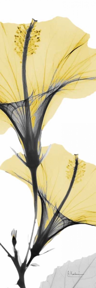 Wall Art Painting id:86041, Name: Hibiscus Yellow, Artist: Koetsier, Albert