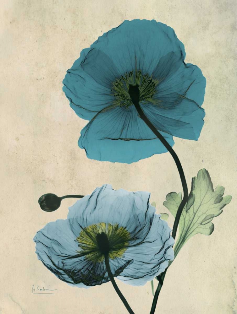 Wall Art Painting id:21712, Name: Iceland Poppy, Artist: Koetsier, Albert
