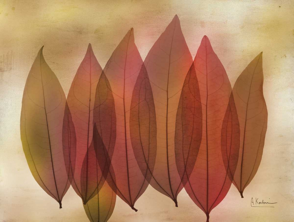 Art Print: Harvest Light 1