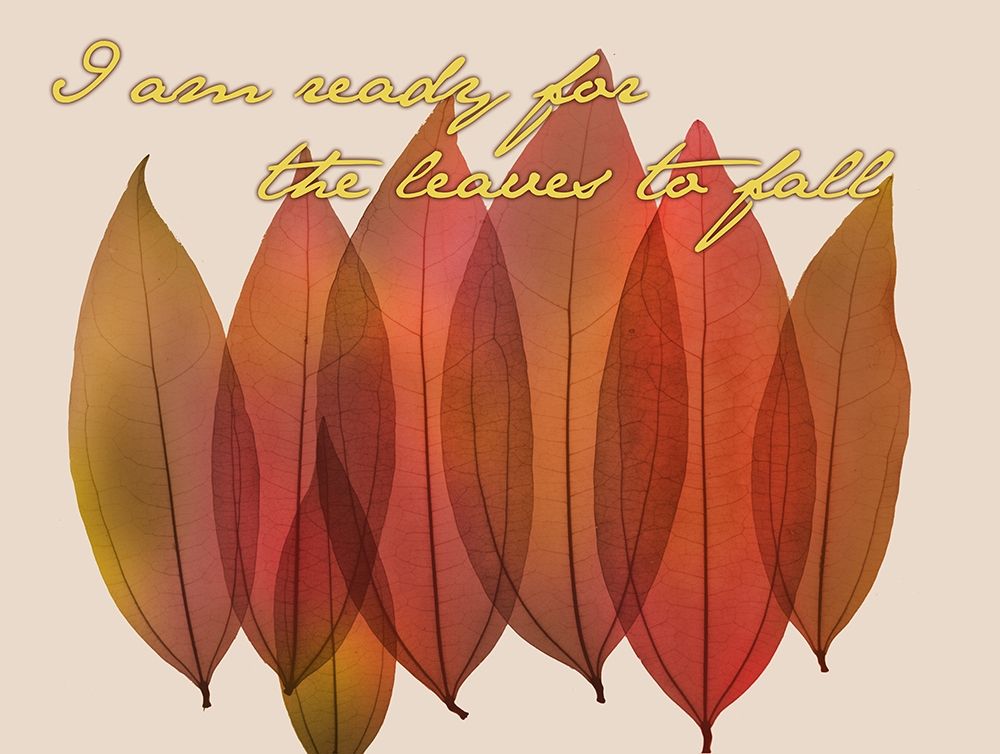 Art Print: Harvest Light 1