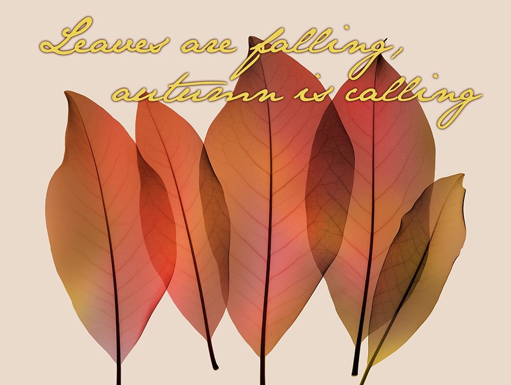 Art Print: Harvest Light 2