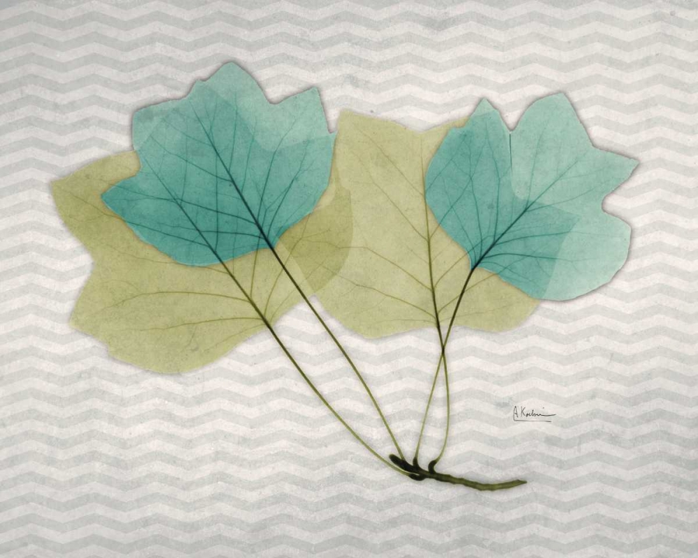 Art Print: Citrus Tulip Tree