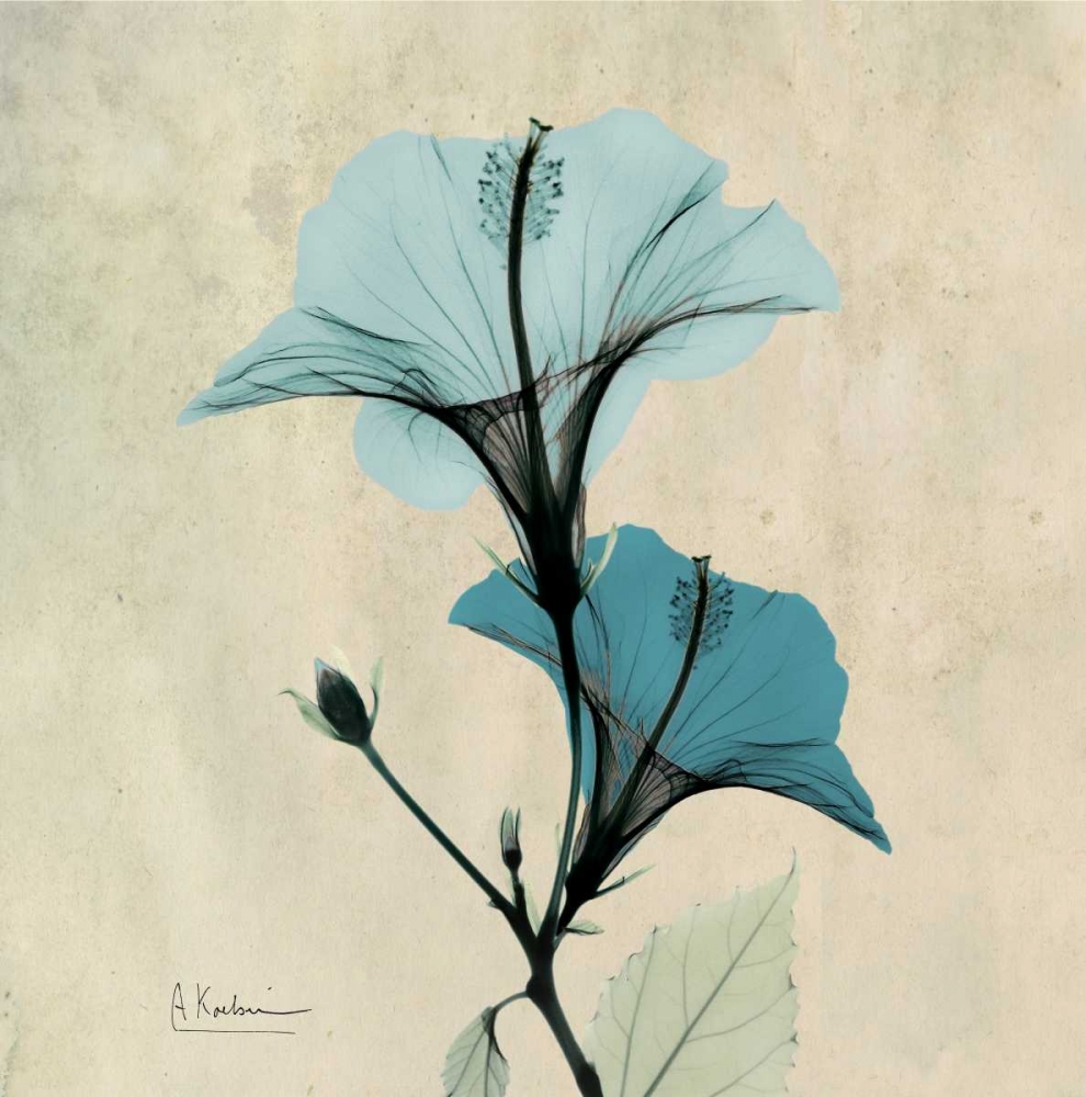 Wall Art Painting id:21719, Name: Hibiscus, Artist: Koetsier, Albert