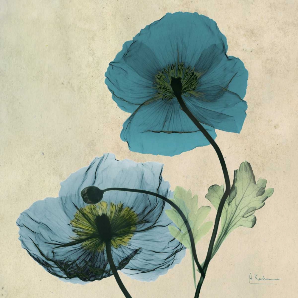 Wall Art Painting id:21720, Name: Iceland Poppy, Artist: Koetsier, Albert
