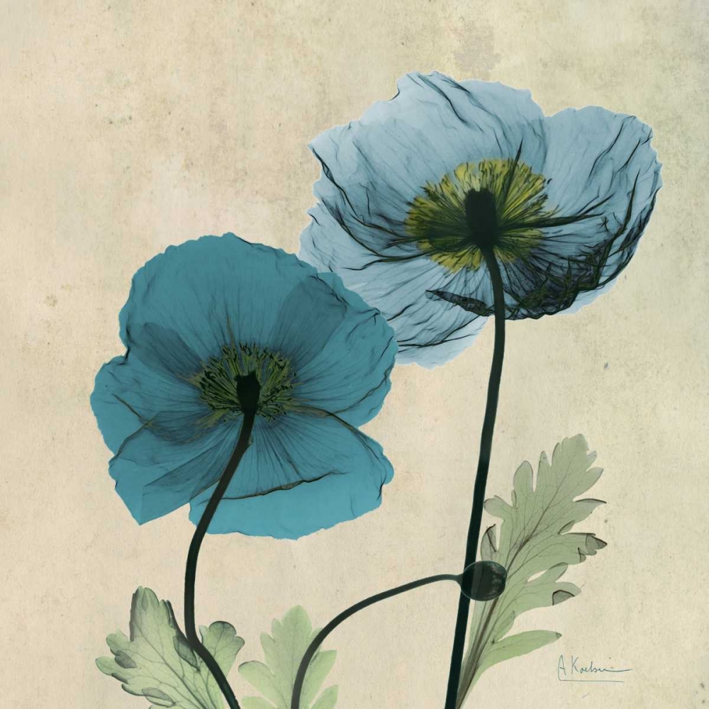Wall Art Painting id:21721, Name: Iceland Poppy, Artist: Koetsier, Albert
