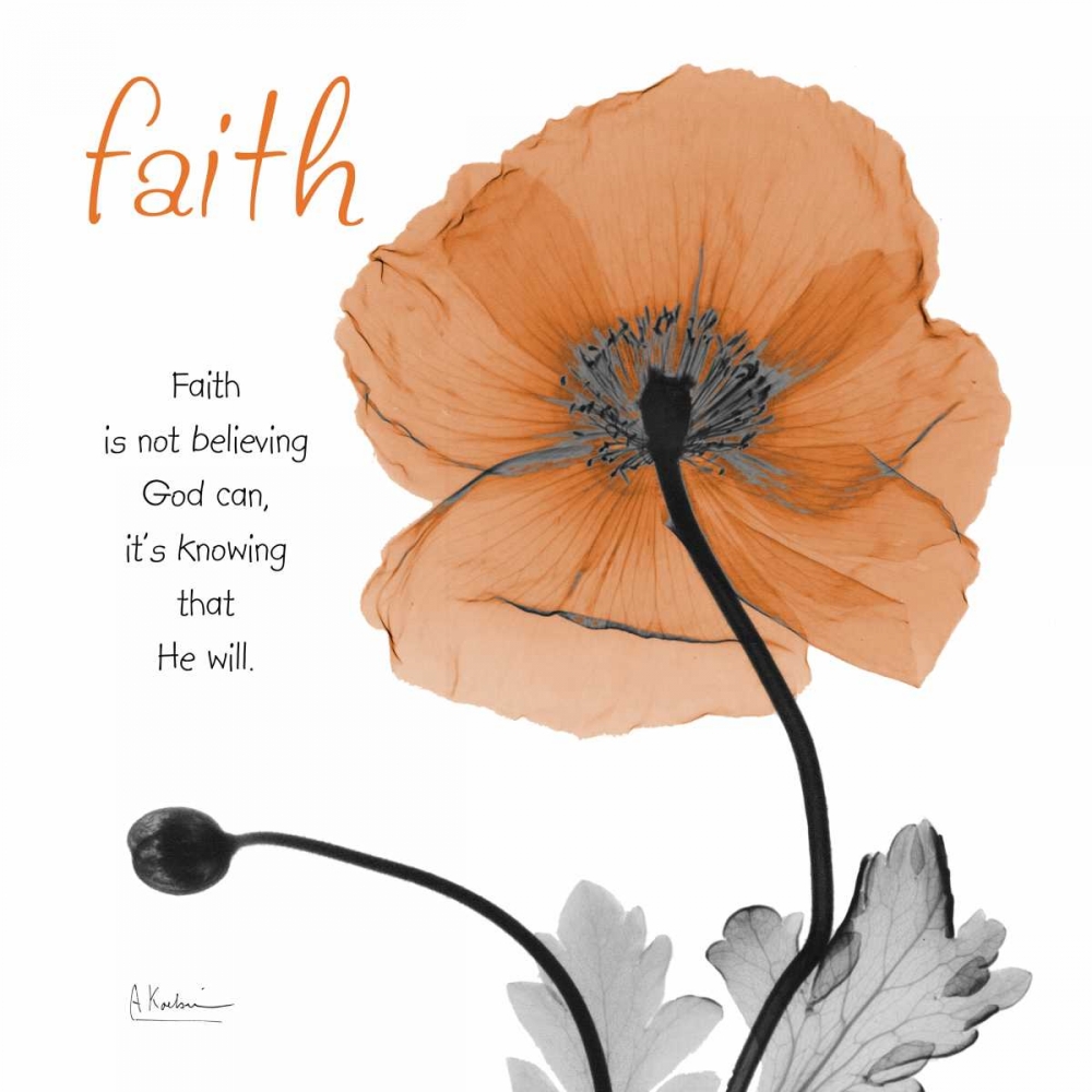 Wall Art Painting id:37271, Name: Iceland Poppy Faith, Artist: Koetsier, Albert