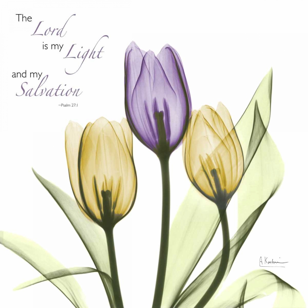 Wall Art Painting id:37273, Name: Tulips Salvation, Artist: Koetsier, Albert