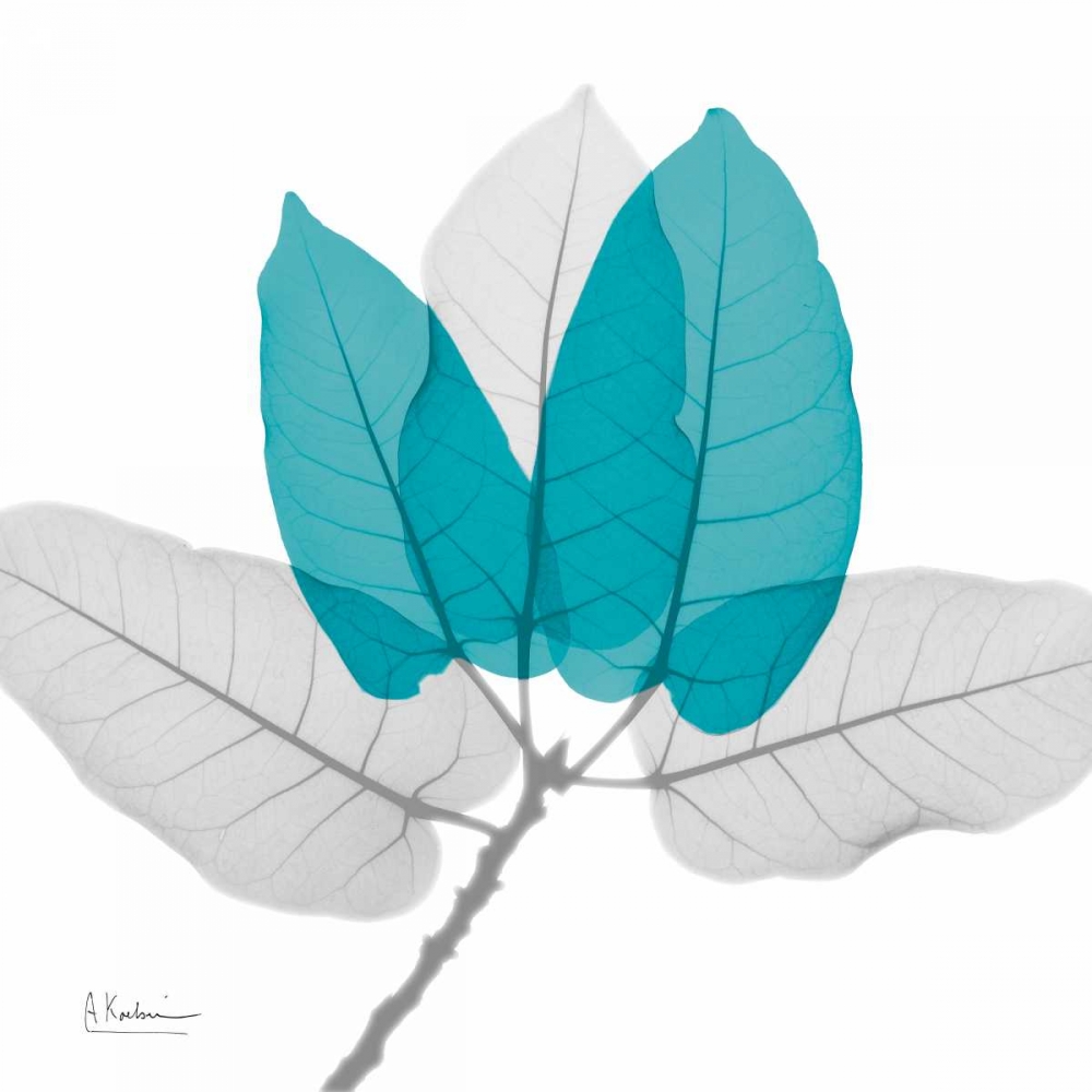 Wall Art Painting id:86051, Name: Ficus Burkey Teal, Artist: Koetsier, Albert