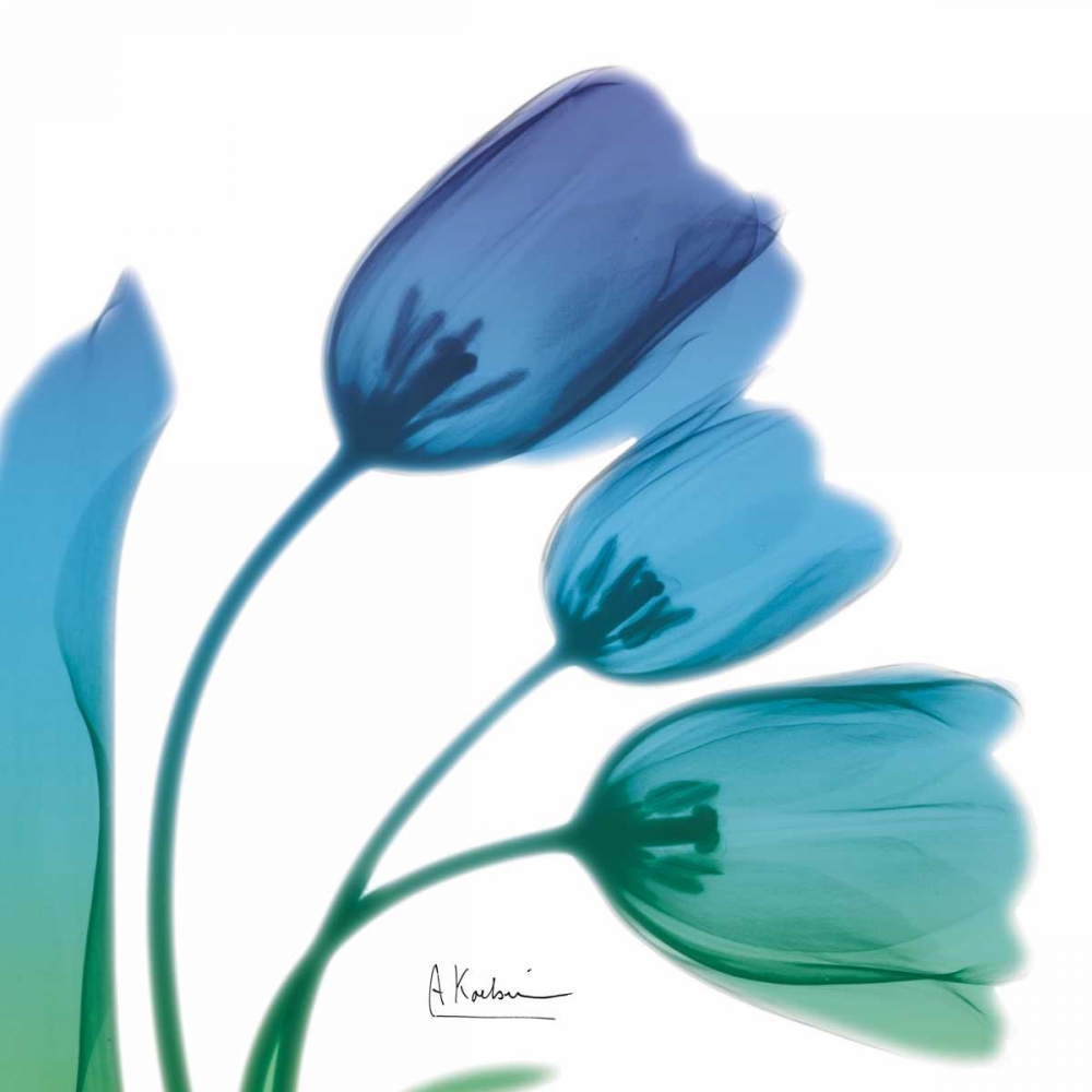 Wall Art Painting id:86056, Name: Tulips Turq Blue, Artist: Koetsier, Albert