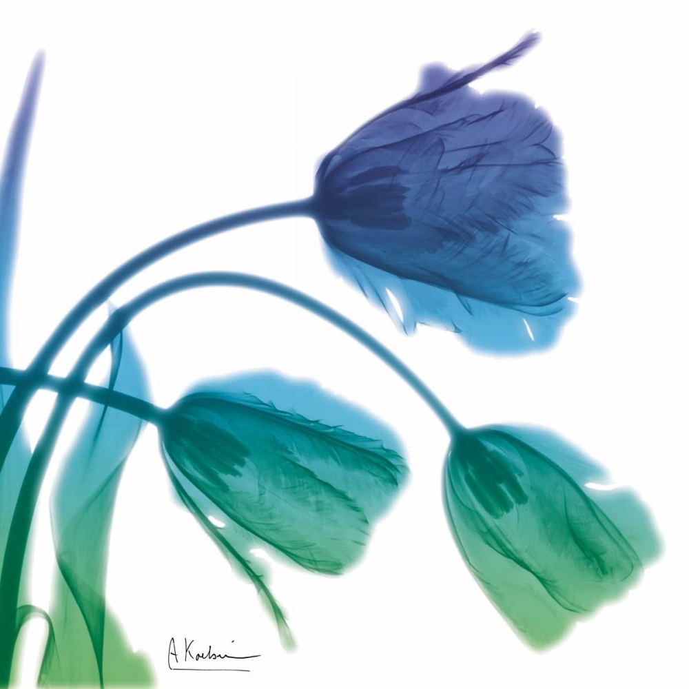 Wall Art Painting id:106266, Name: Tulips L83 Turq Blue, Artist: Koetsier, Albert