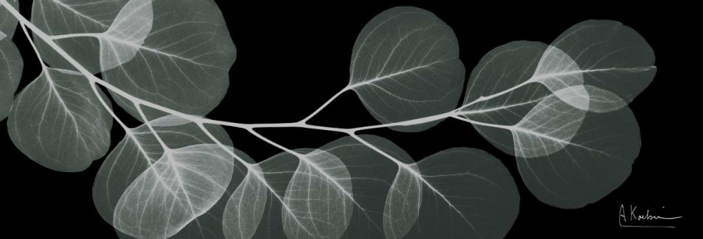 Similar wall art painting: 151675