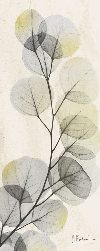 Art Print: Eucalyptus Sunshine
