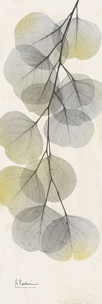 Art Print: Eucalyptus Sunshine 2
