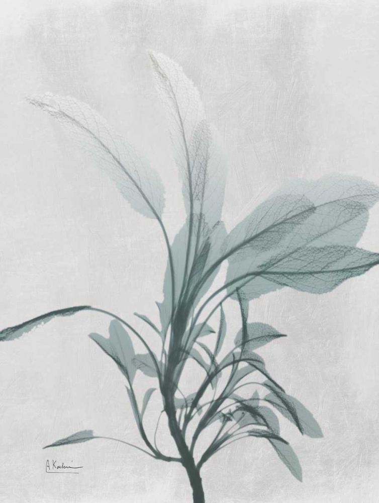 Art Print: Emerald Sage 1