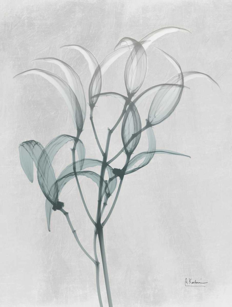 Art Print: Emerald Oleander Bush