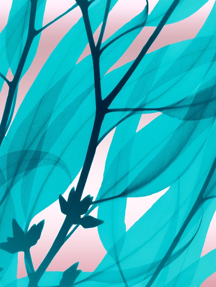 Art Print: Eucalyptus Cotton Candy