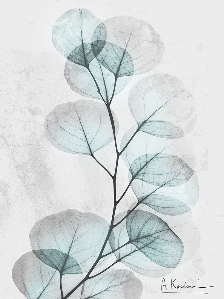 Art Print: Eucalyptus Glow 3