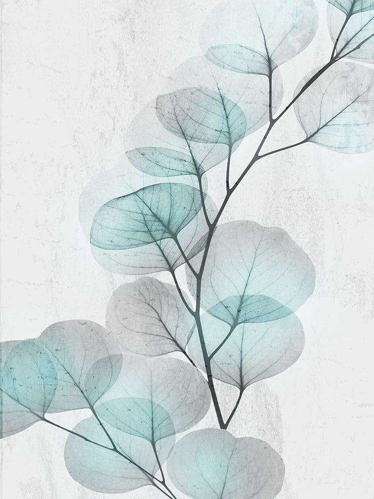 Art Print: Eucalyptus Glow 4