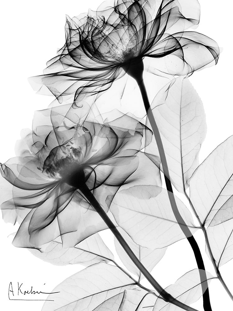 Wall Art Painting id:557976, Name: Delighful Pair 1, Artist: Koetsier, Albert