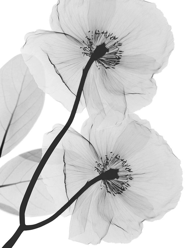 Wall Art Painting id:557980, Name: Kinetic Translation, Artist: Koetsier, Albert