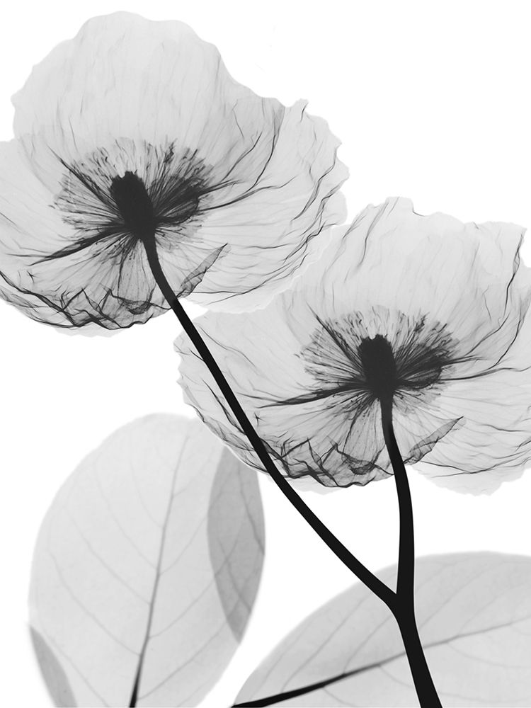 Wall Art Painting id:557981, Name: Kinetic Translation 2, Artist: Koetsier, Albert