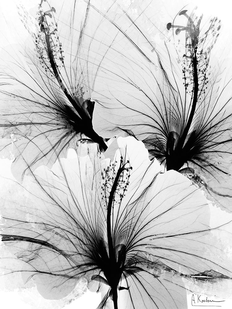 Wall Art Painting id:557982, Name: Floral Abstract 1, Artist: Koetsier, Albert