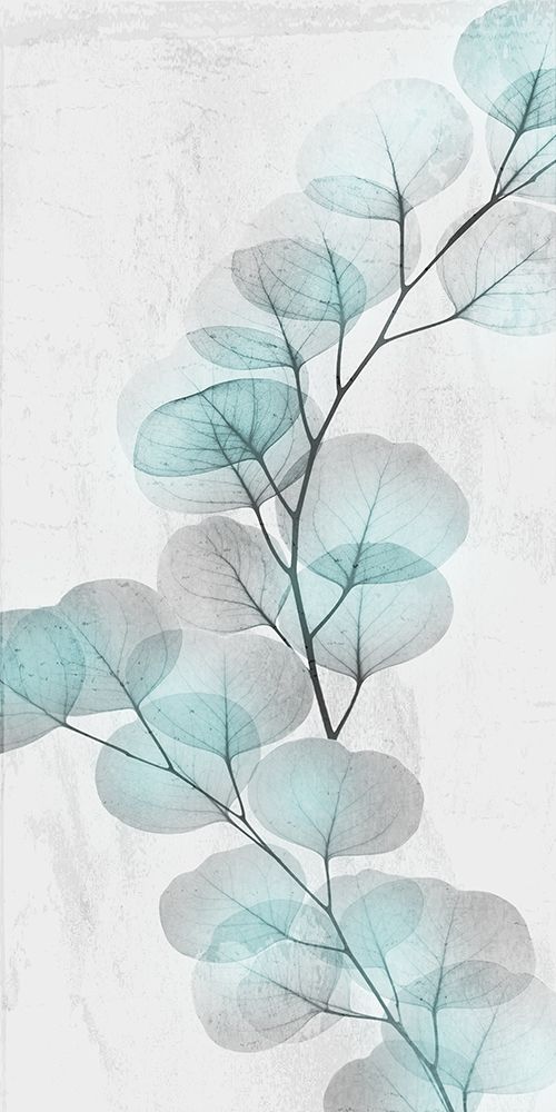 Art Print: Eucalyptus Glow 2
