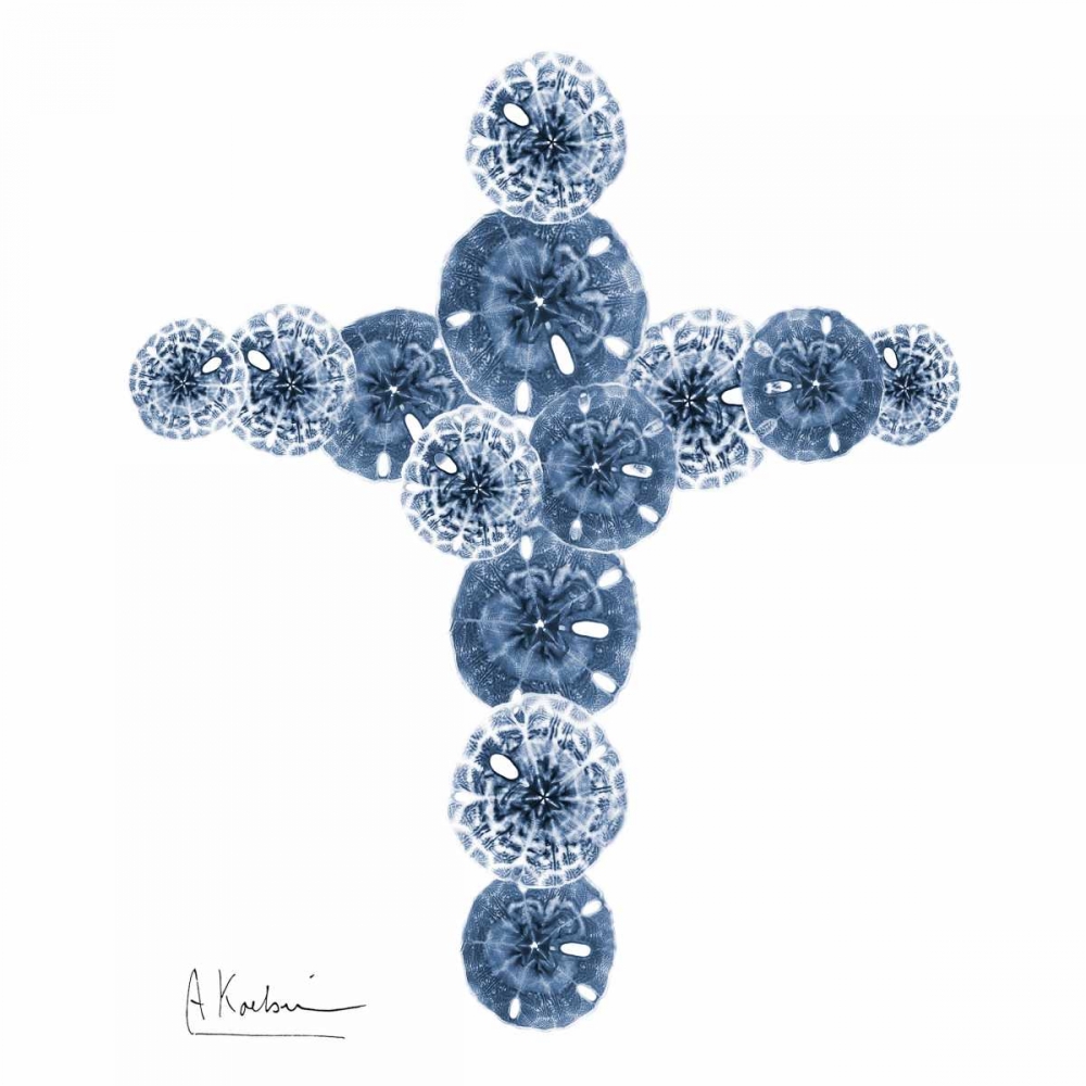 Art Print: Holy Sand Dollars